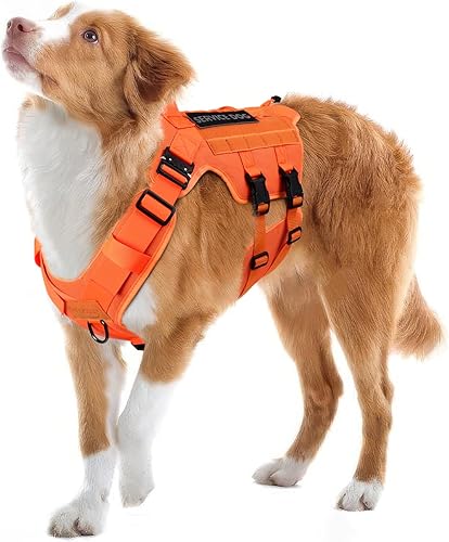 PETNANNY Arnés táctico para perro, chaleco de servicio para perros de raza grande, panel de para parches de servicio, chaleco Molle de trabajo con