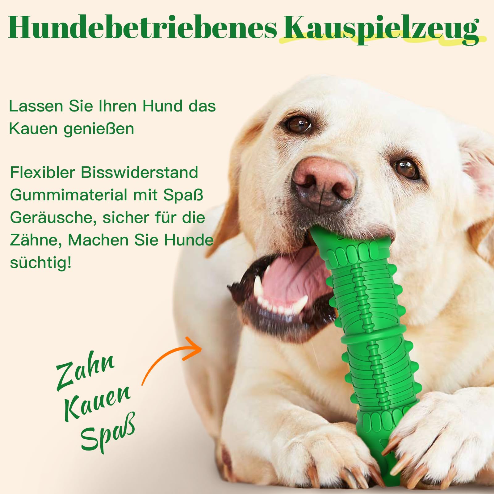 HETOO Hundekauspielzeug – Unzerstörbarer Schädel Aus Naturkautschuk Für Große & Mittlere Hunde