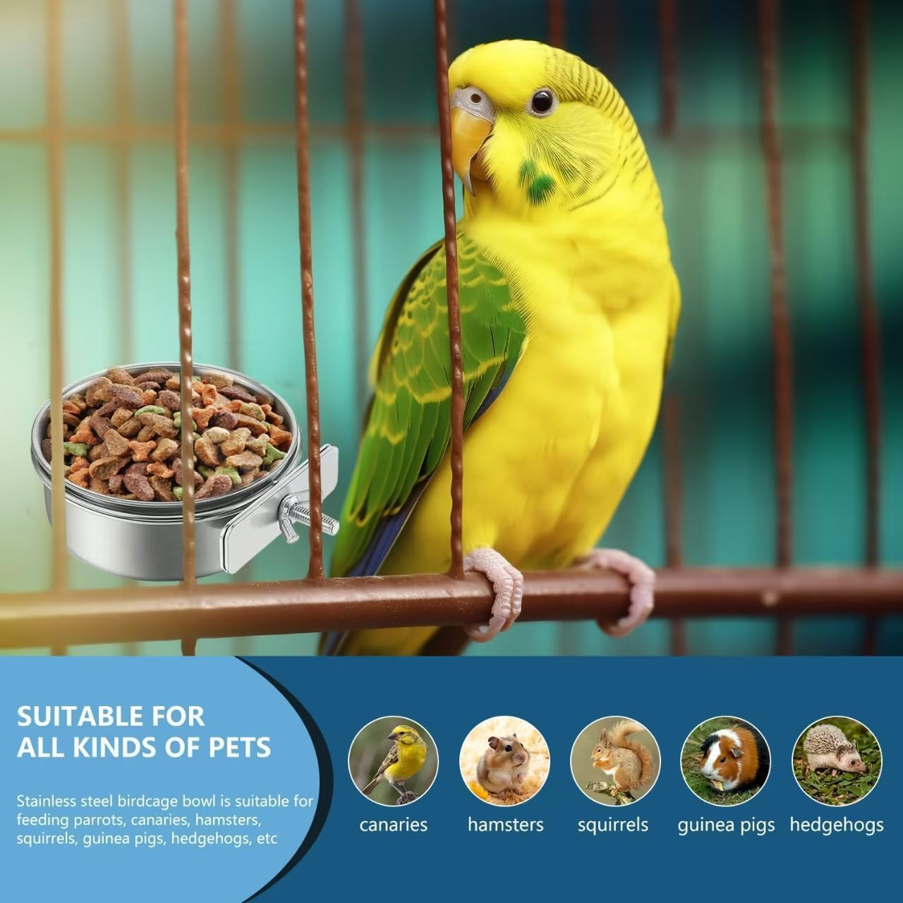 RoverPets Pet Food Water Bowl with Clamp Holder Stainless Steel Coop Cup Hanging Feeder for Dog Bird Parrot Cat Rabbit (Design - 3, Bird Bowl - 250 ML Hanging Bowl) 2