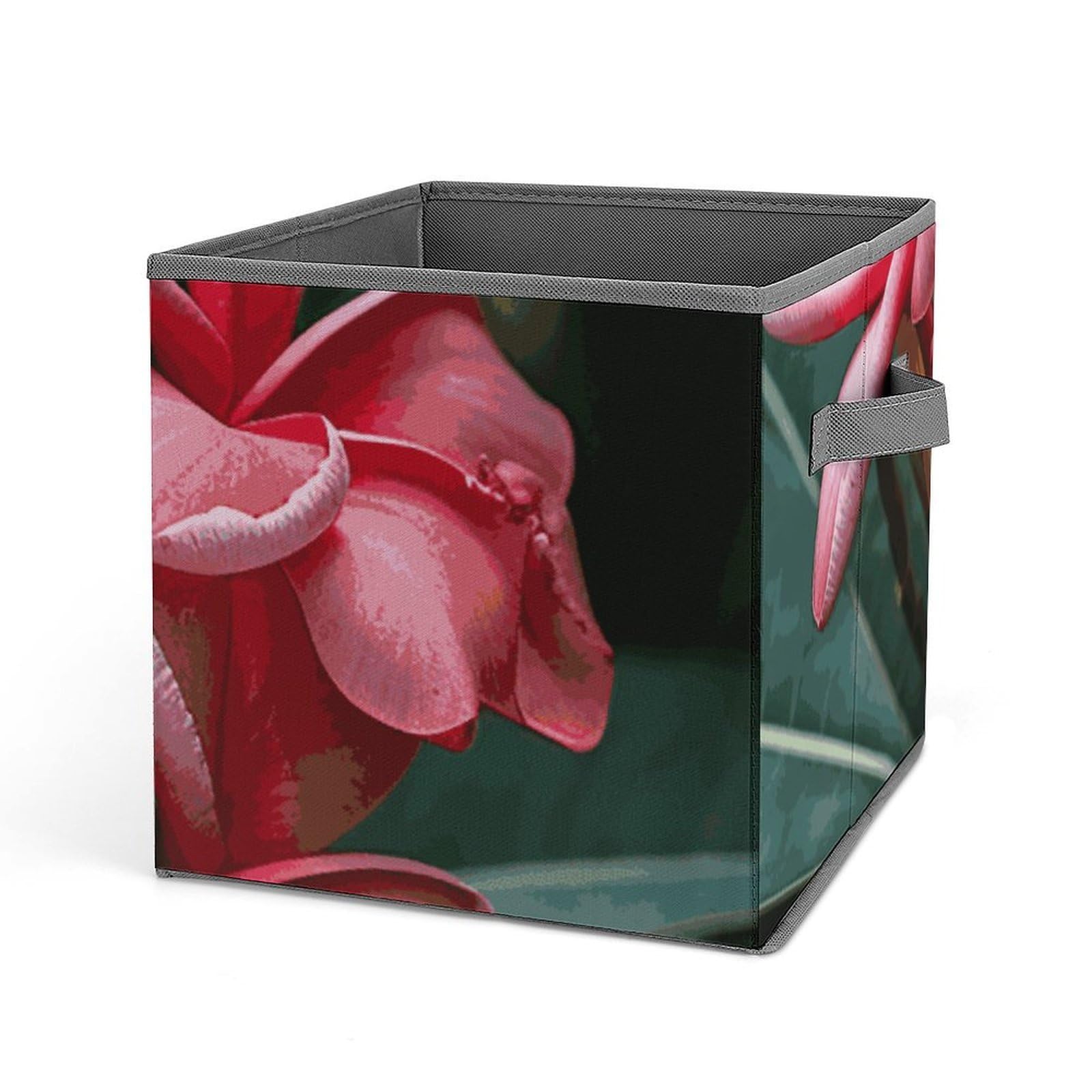 DWVTSLH Plumeria Cube Storage Bins with Handle, Foldable Storage Cubes, 11 Inch Large Storage Baskets, Washable Fabric Closet Organizer for Shelves, Decorative Clothes Storage Boxes