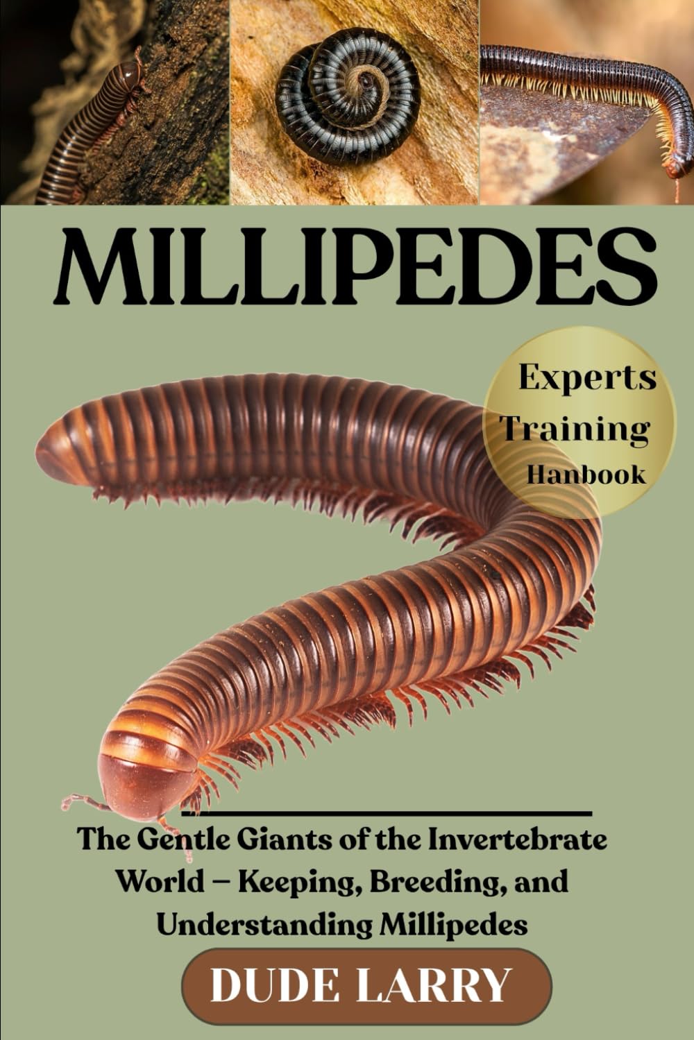 MILLIPEDES: The Gentle Giants of the Invertebrate World — Keeping, Breeding, and Understanding Millipedes
