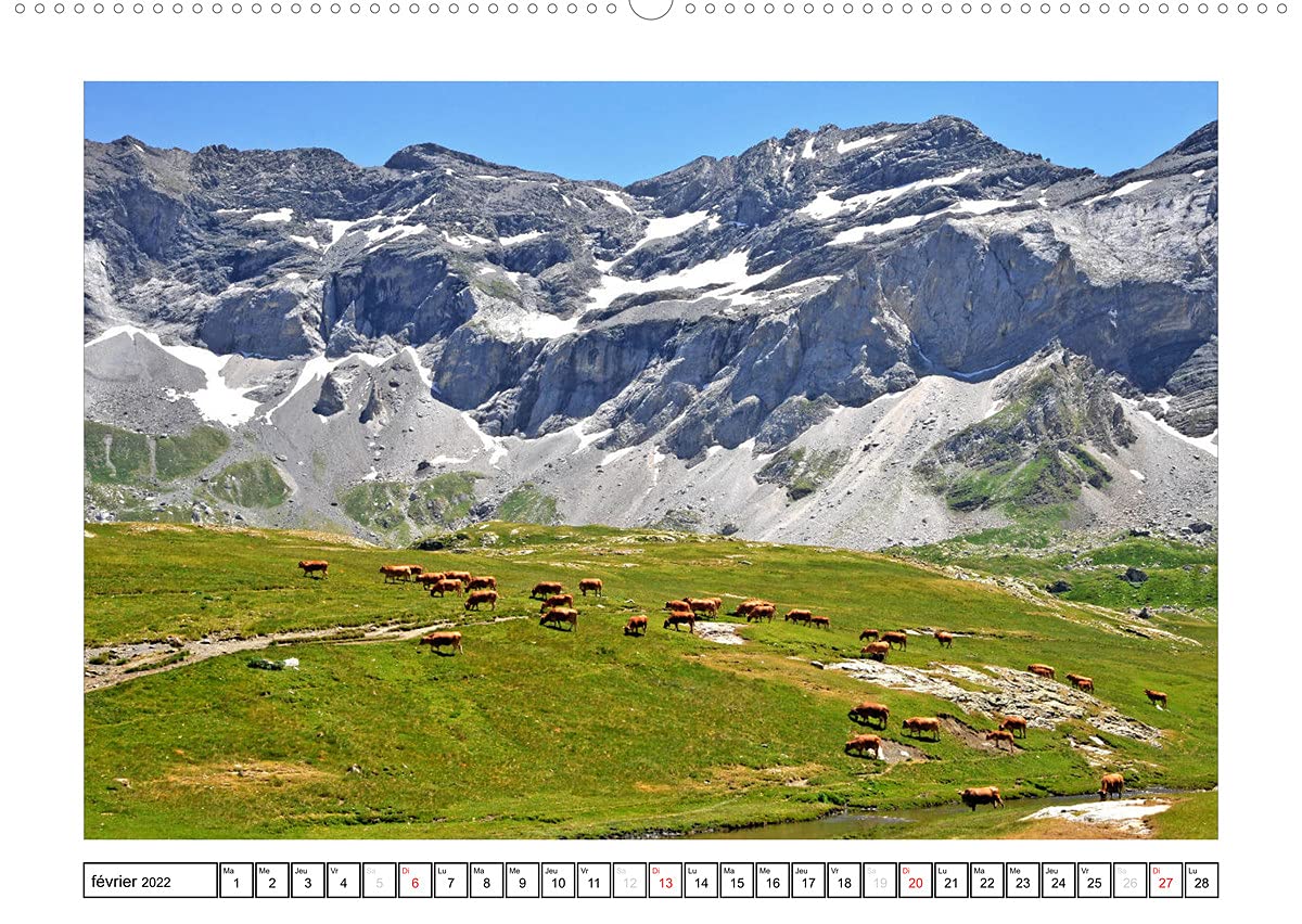 Pyrénéennes (Premium, hochwertiger DIN A2 Wandkalender 2022, Kunstdruck in Hochglanz): La chaîne des Pyrénées aux quatre saisons (Calendrier mensuel, 14 Pages )