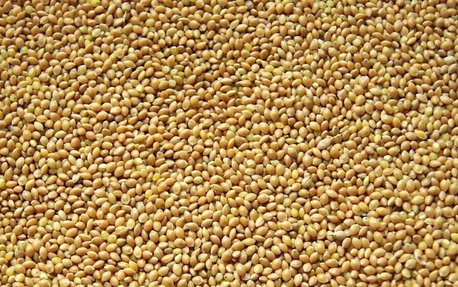 Miglio Giallo/bianco Sfuso Per Uccelli - 25 Kg, Mangime Per - Foto 12