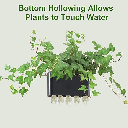 Miniatura 7 de 2 piezas de soporte para plantas de acuario colgante en la parte superior del tanque de peces maceta acuario macetas macetas para decoración de