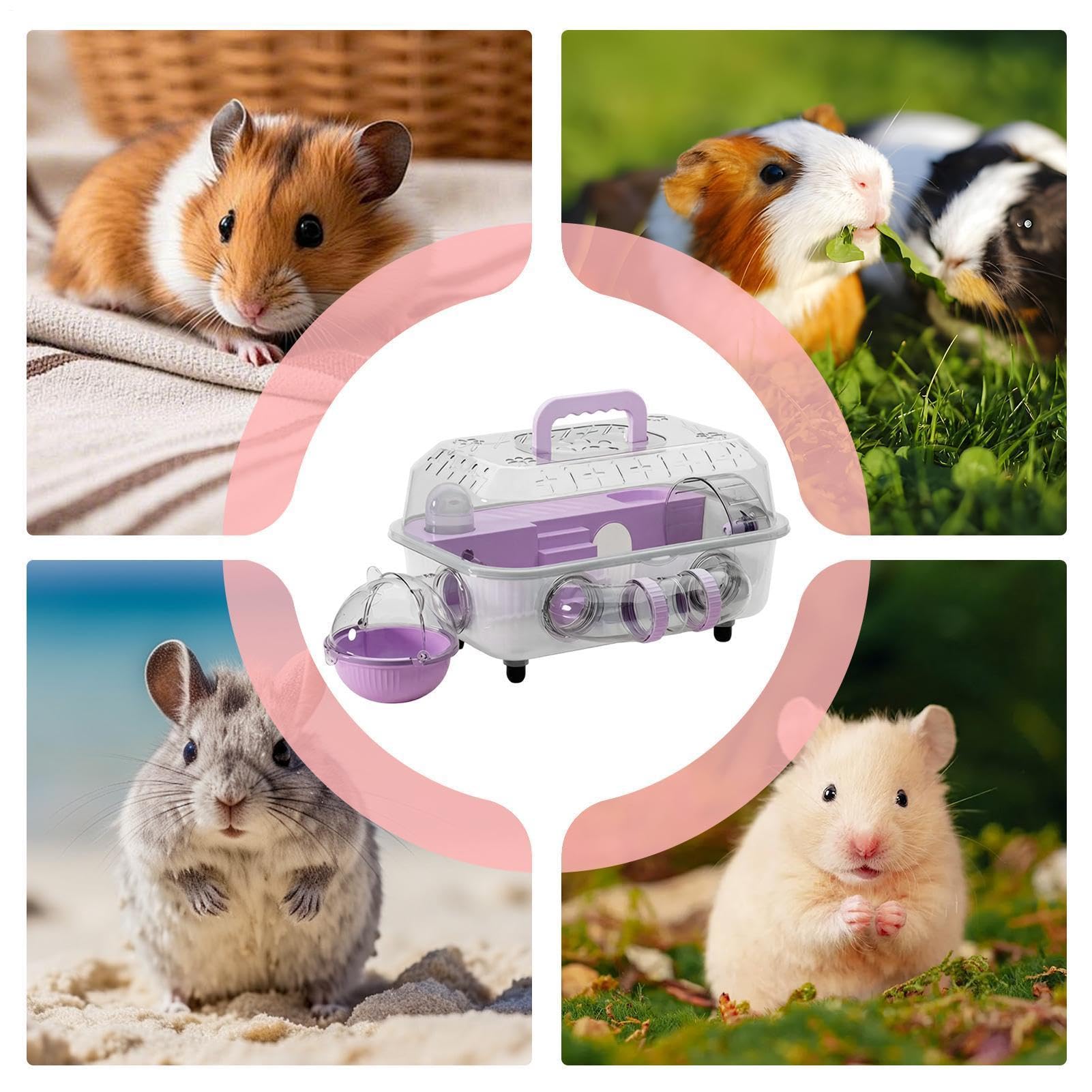 Jaula Hamster - Hábitat Hamster Enano Transparente a 2 Niveles | Transporte Portátil 14.5 Pulgadas con Tubos Laberinto y Rueda Silenciosa | Vista 360, Limpieza Fácil para Ratones y Roedores