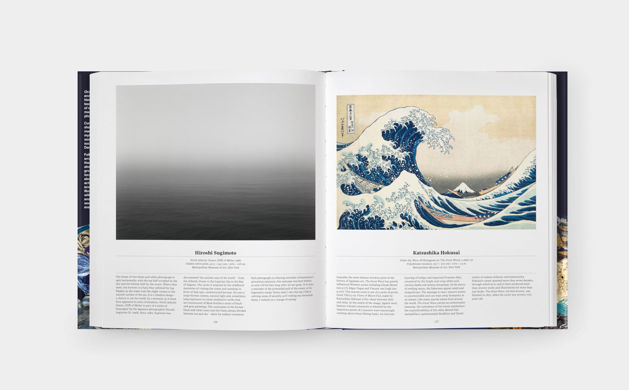 OZEANE - Die Welt der Meere: Ein Ausflug in die maritime Welt. Streifzug durch Illustrationen aus Wissenschaft und Kunst: Das faszinierende Ökosystem Meer in einem prachtvollen Bildband