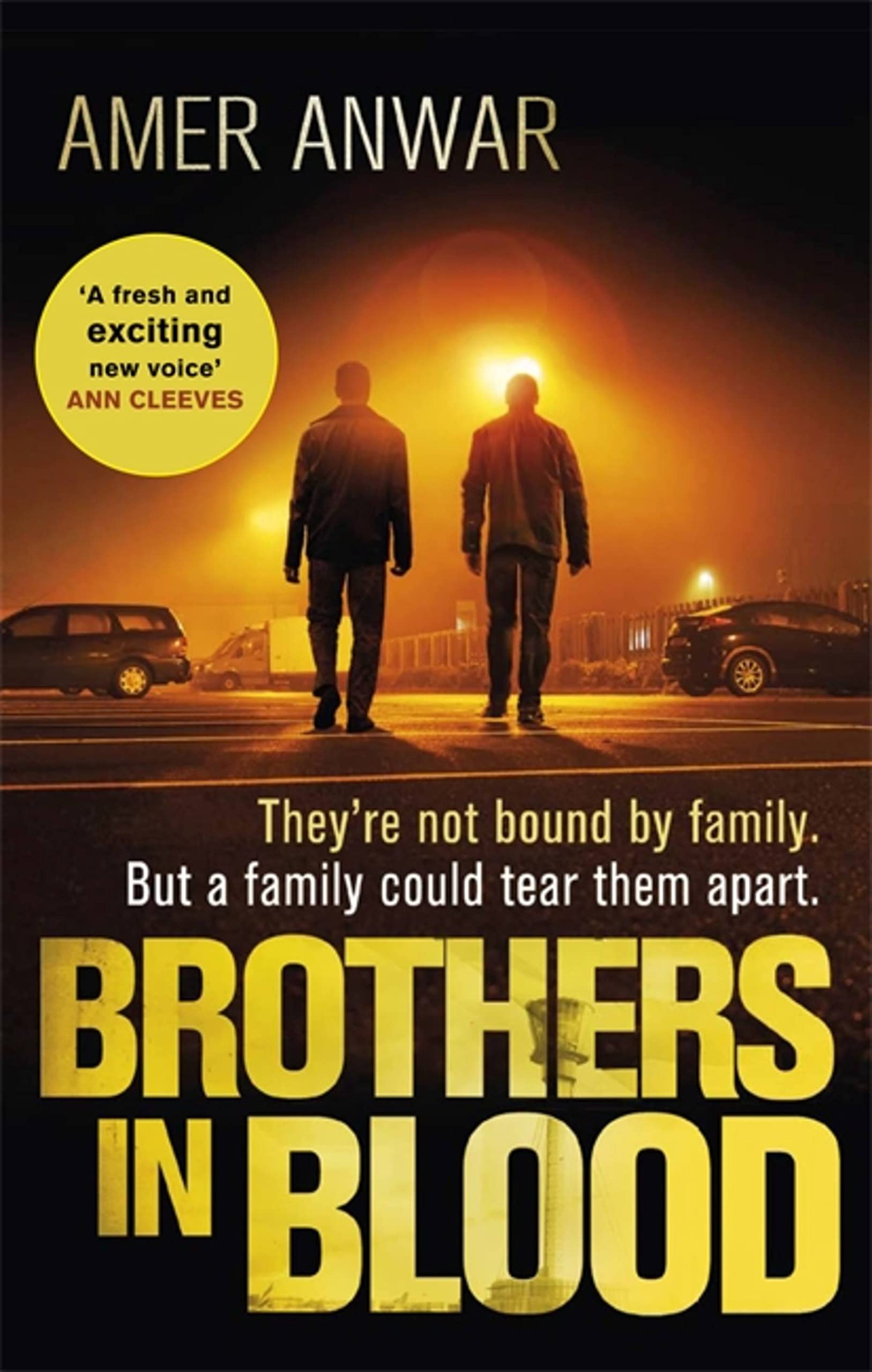 Brothers in Blood (Zac and Jags). Anwar New 9780349700281 Fast Free Shipping**