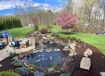 Review Image by RON GOINGS RON GOINGS