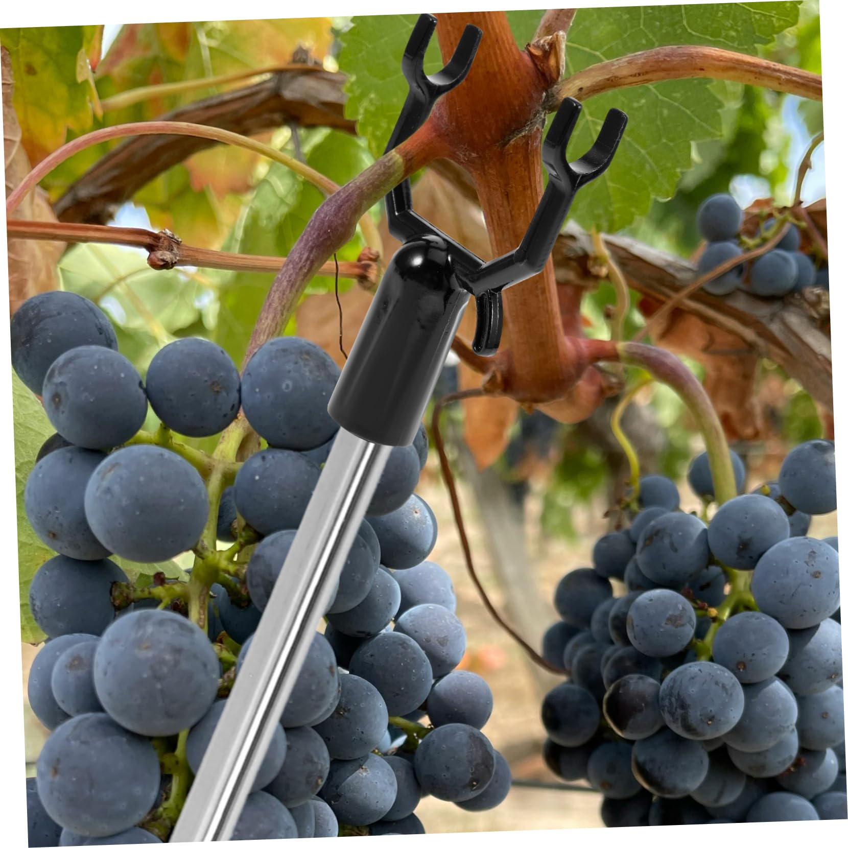 Kisangel 24stücke Obstbaumstützen Praktische Zweigunterstützung Für Obstbäume Weinberge Und Wetterbeständig Und Langlebig Für Erntezeit