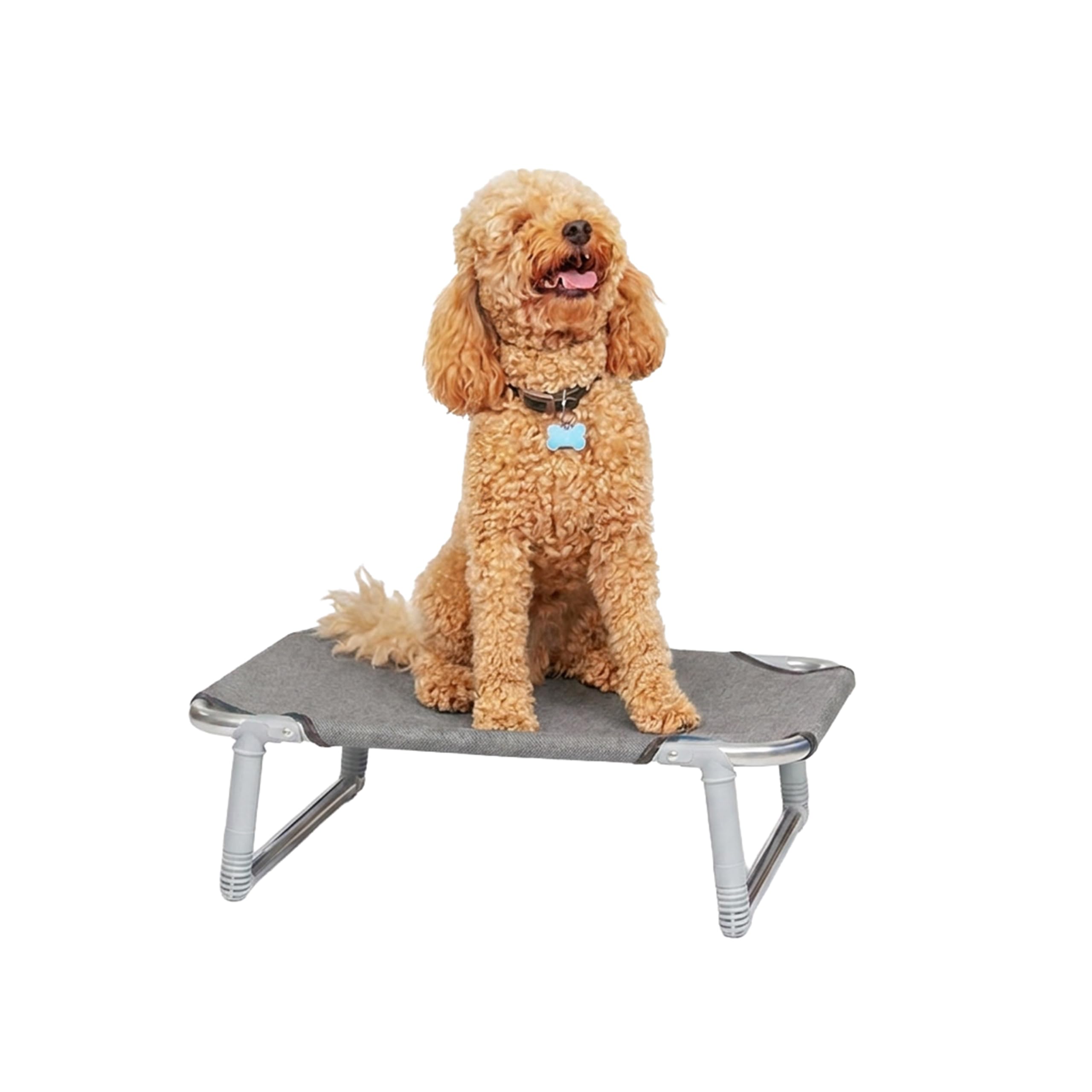 Ferplast Dream 60 Dog Bed, 62 x 44 x 7 cm