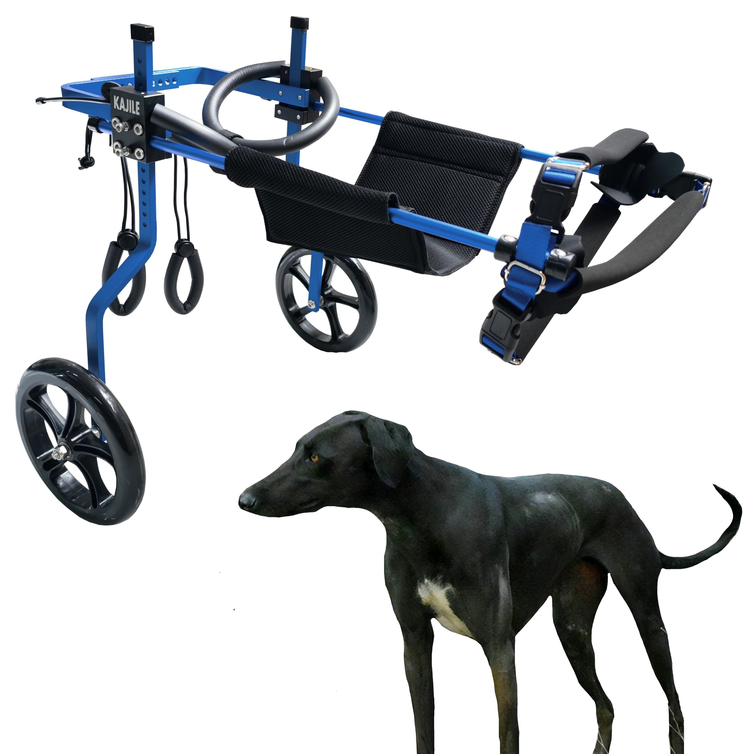 KAJILE Adjustable Dog Wheelchair,Dog Hind Leg Rehabilitation,Blue,XL-1 โ image 1