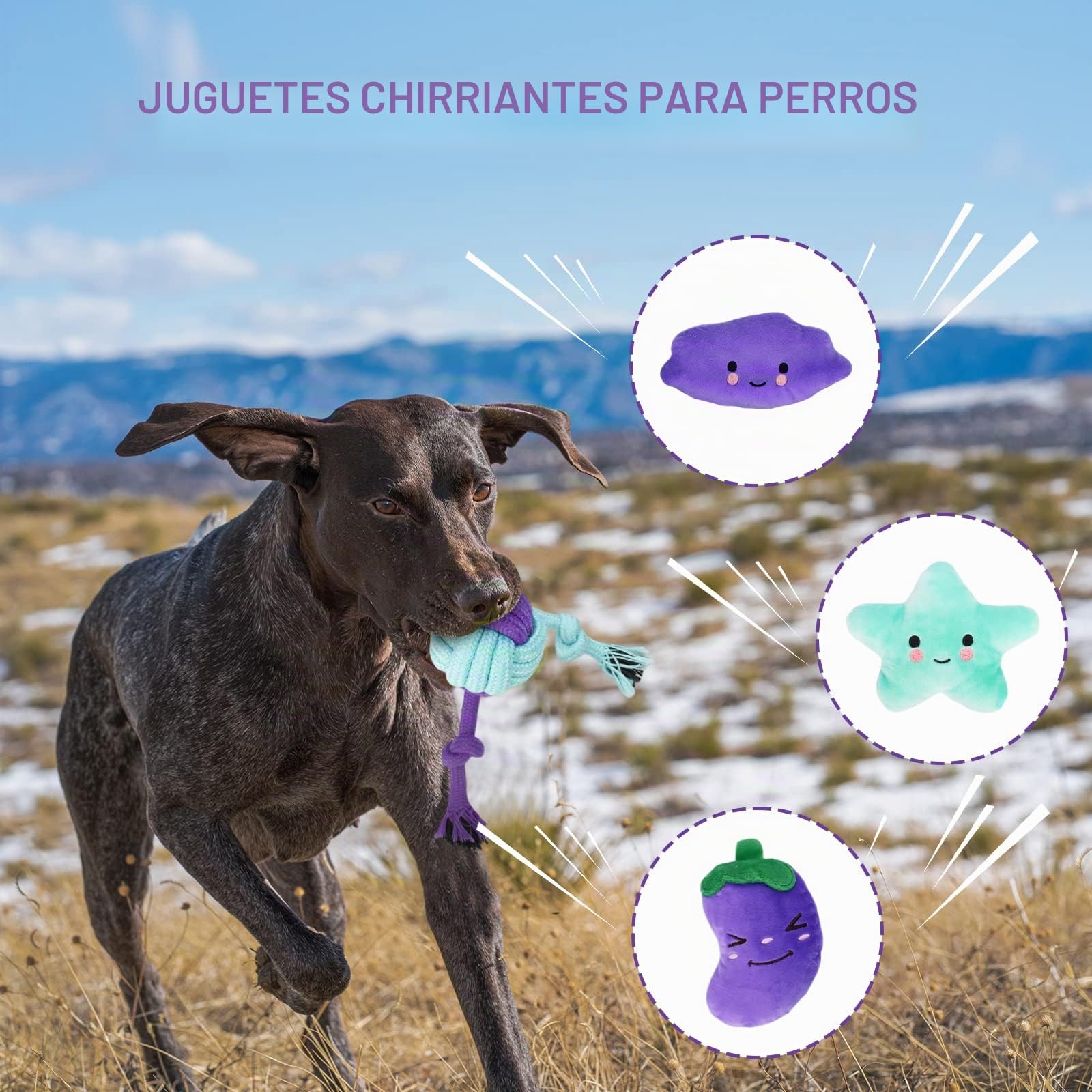 Juguete Interactivo para Morder para Perros pequeños/Medios/Grandes, 20pcs, Cuerda de Algodón Durable Masticable para Cachorros