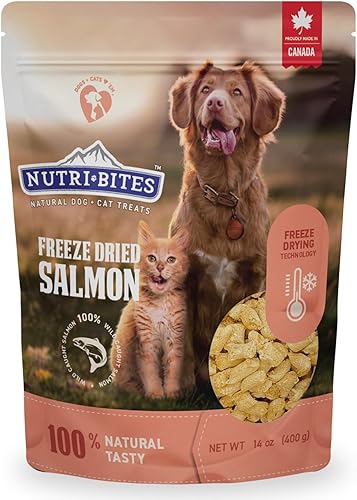 Nutri Bites Paquete económico golosinas de salmón liofilizado para mascotas ricas en proteínas y omega-3 de alta calidad, 14 onzas para perros y