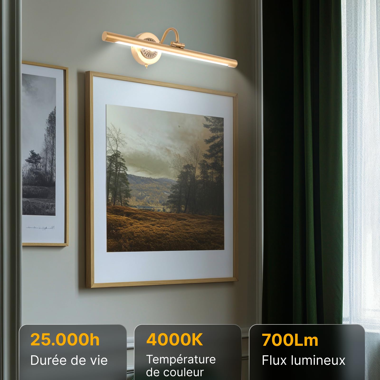 ARTE LAMP Applique murale d'intérieur – lampe LED pour tableau – pour la maison - avec câble et prise pour réseau