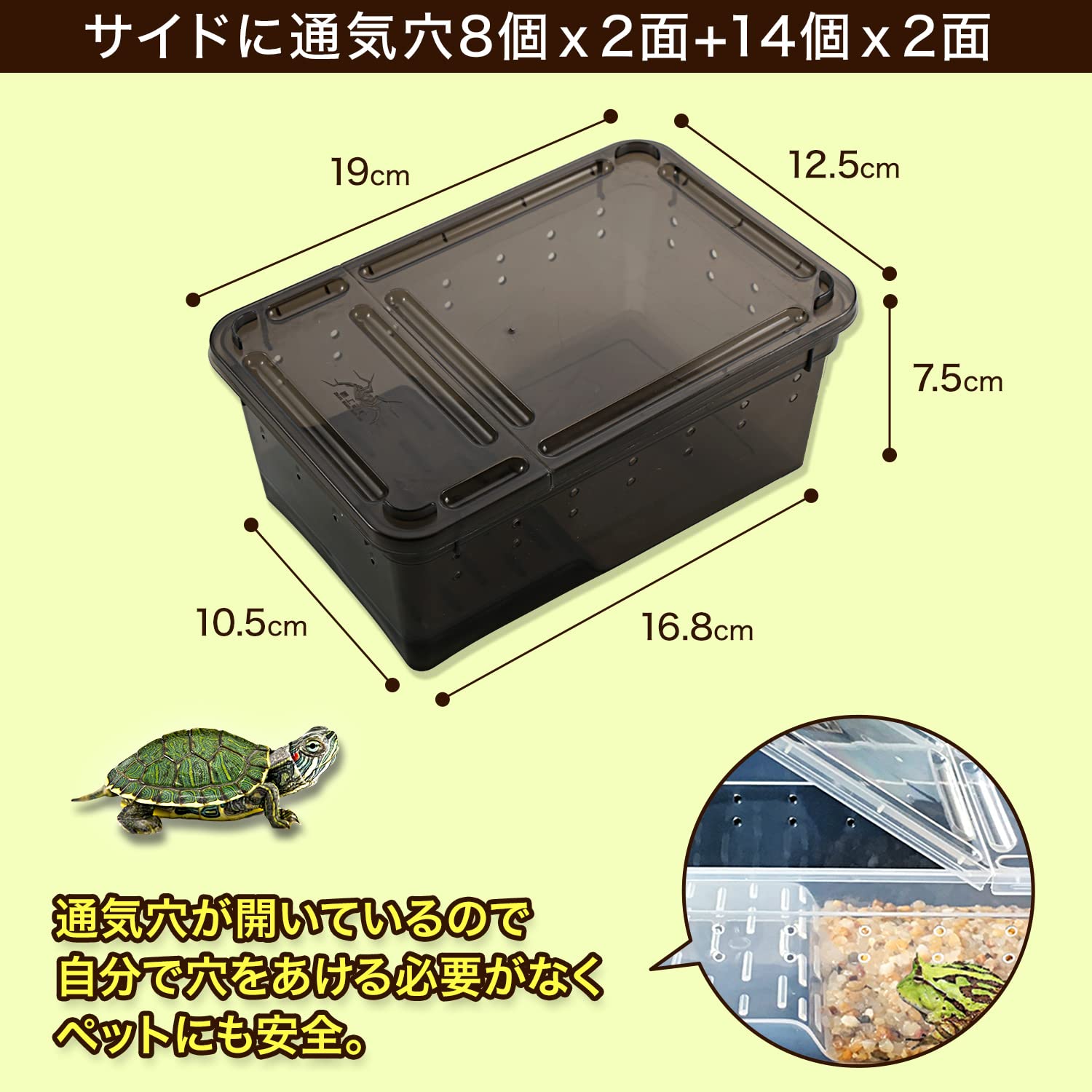 Amazon | feedbase 爬虫類 両生類 昆虫 飼育 2WAY プラスチックケース