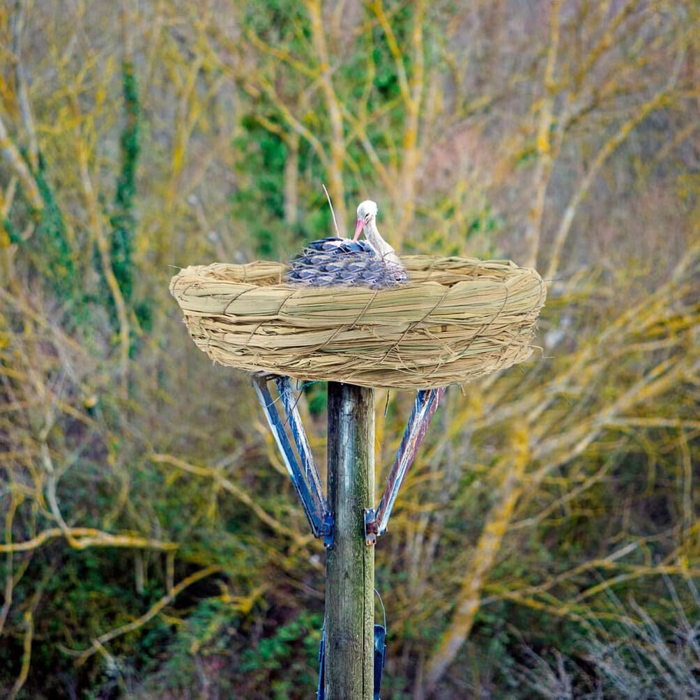 POPETPOP Nido De Pájaro Tejido Decoración De Nido De Pájaro Jaula De Pájaros Nido De Pájaro para Jaula Incubadora De Loros Nido De Palomas Presentar Tazón De Huevo El Nido del Pájaro