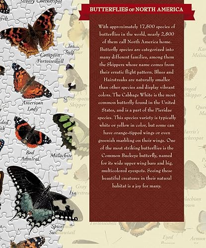 Miniatura 3 de MasterPieces Rompecabezas de 1000 piezas para adultos, familia o niños, mariposas de América del Norte, 19.25 x 26.75 pulgadas