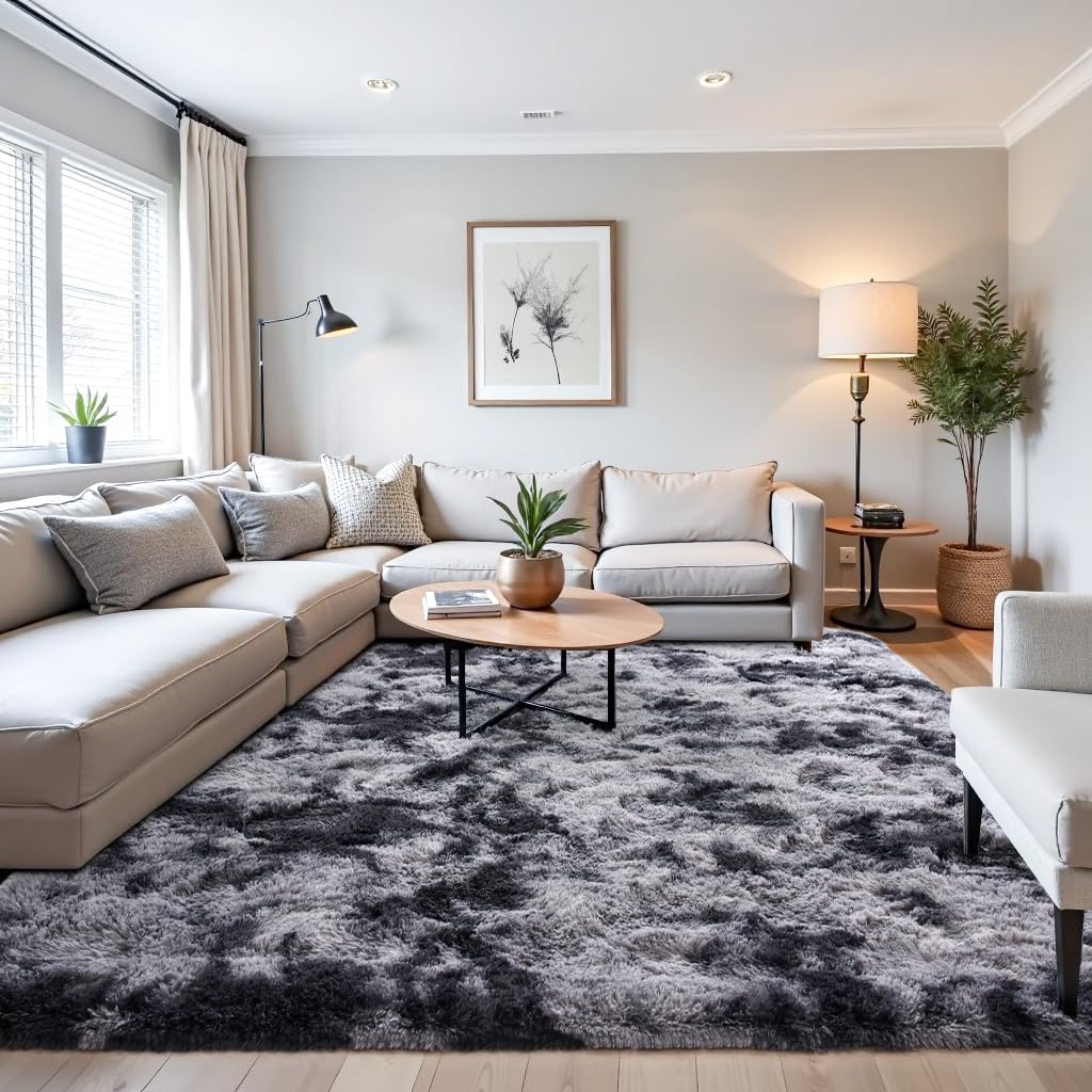 Beglad Shag Rugs for Living Room, Area Rugs 5x7 Feet Upgrade Anti-Skid Modern Minimalist Style Memory Foam Rugs for Bedroom, Indoor Carpet Suitable