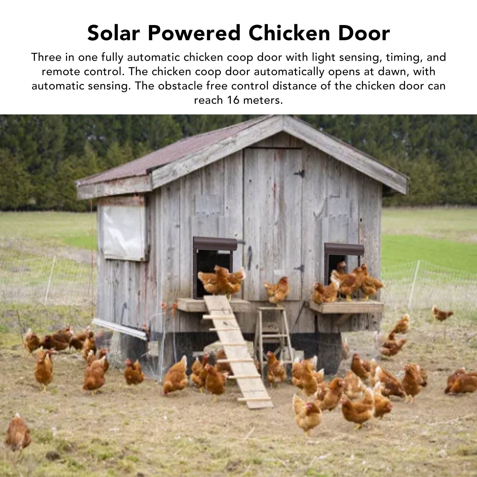 Sonew Porta automatica a energia solare, sensore di luce, timer e telecomando per polli e pollai, per porta di pollo impermeabile, per pollo, per pollaio (marrone)