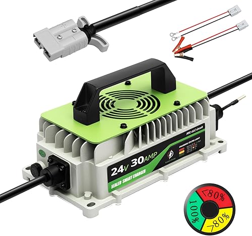 Cargador de batería de litio de 24 V, cargador de 30 A, cargador de batería de 24 voltios para carretilla elevadora, RV, barco, motor de arrastre,