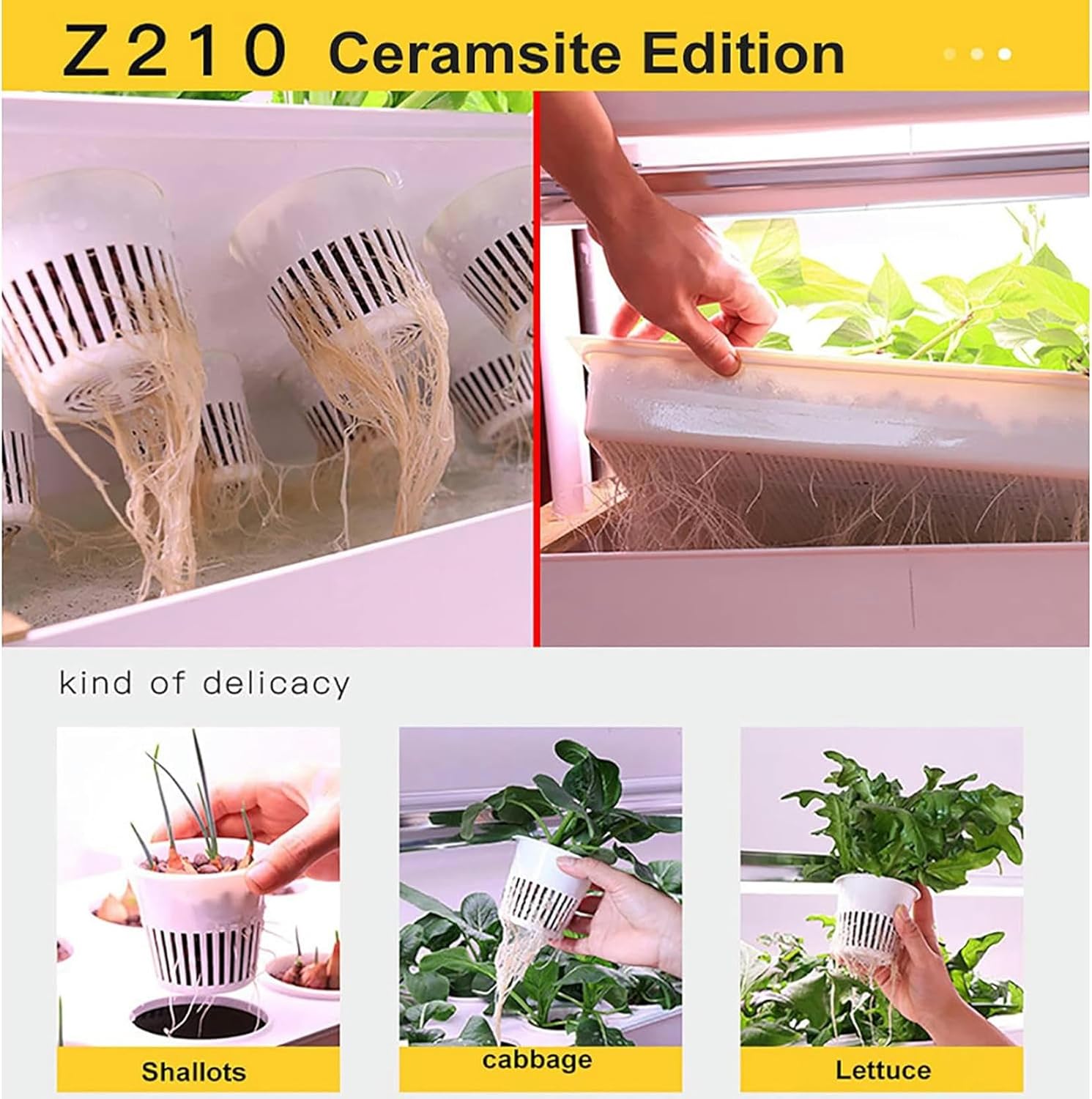 4 -Story Hydroponic Culture Game, Hydroponic Culture System, Hydroponic and Exterior Culture Kit with Moisturizing Pump Timer Adapter