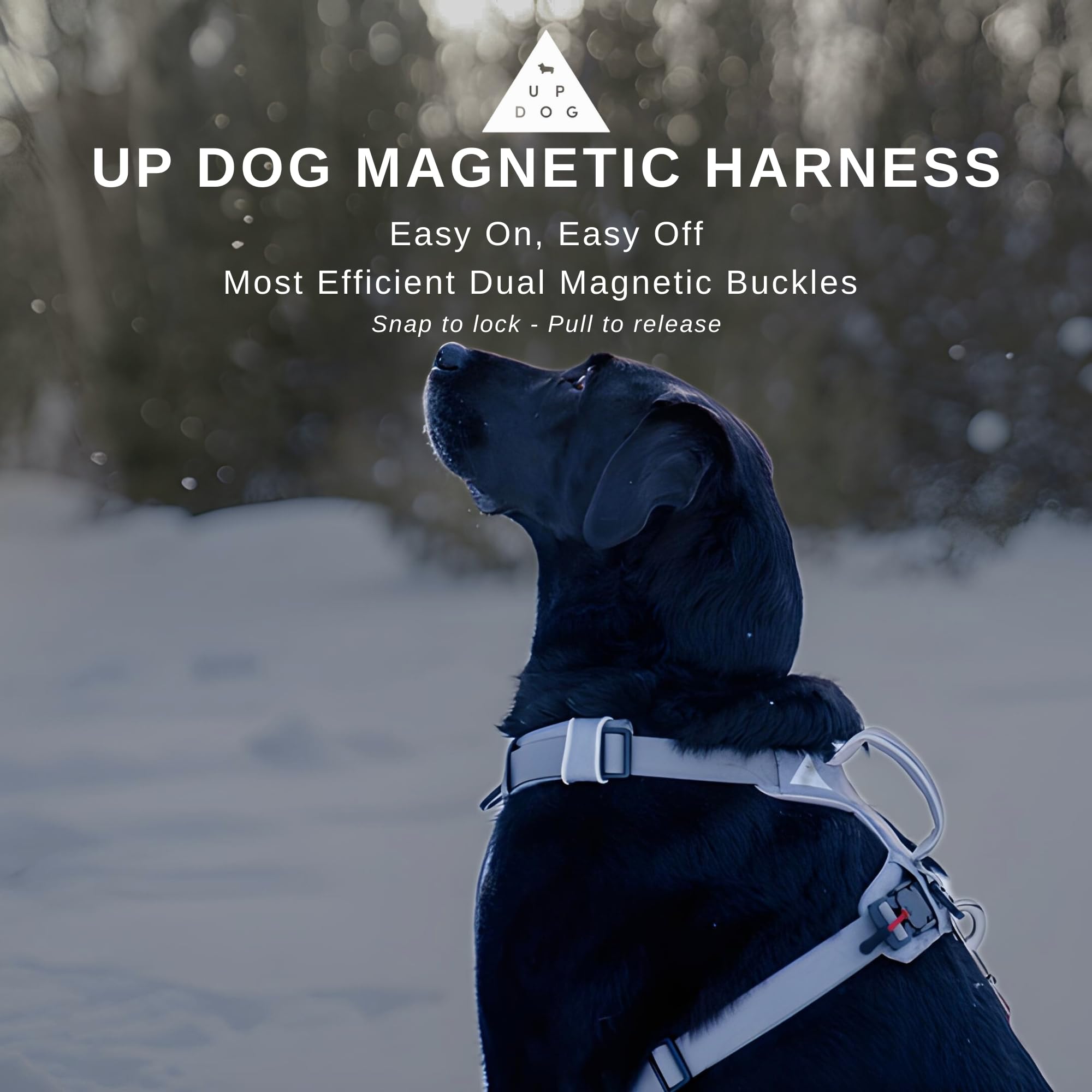 Strong & Secure Magnetic Dog Harness with Easy Lock Buckle - Comfortable No-Pull Vest for Small, Medium & Large Dog Breeds (Medium)