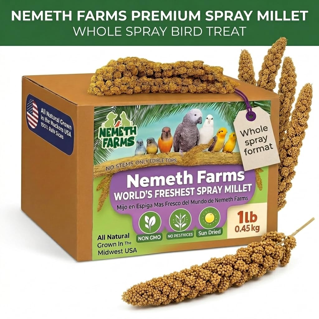 Nemeth Farms Worlds Freshest suszony na słońcu proso w sprayu – nie zawiera genetycznie (bez łodyg tylko jadalnych wierzchnich) – zdrowe przysmaki dla ptaków i suplementów diety dla wszystkich ptaków