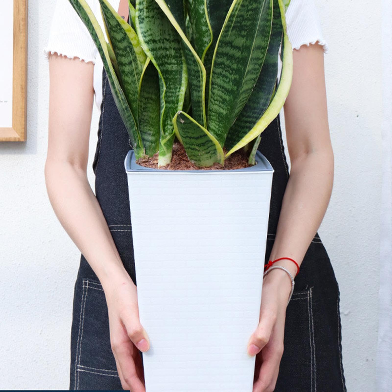 Samonawadniająca Doniczka 2 Sztuki Pojemnik Na Aloes