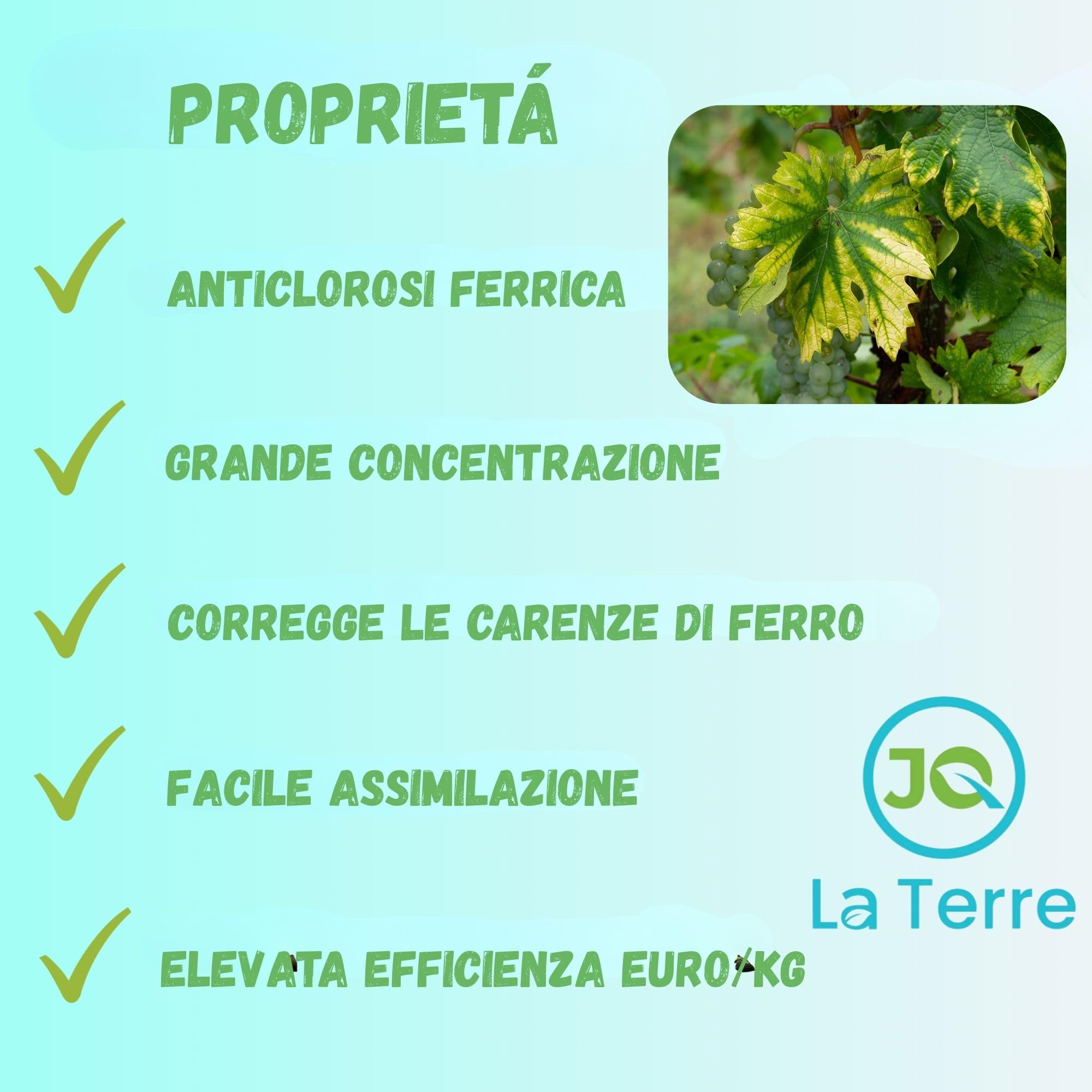 CHELATO DI FERRO 1 KG CON CHIUSURA ZIP E CUCCHIAIO DOSATORE rinverdente anticlorosi ferrica concime per piante correttore di ferro in polvere, 6% Fe-EDDHA, 4,8 (ORTHO-ORTHO)