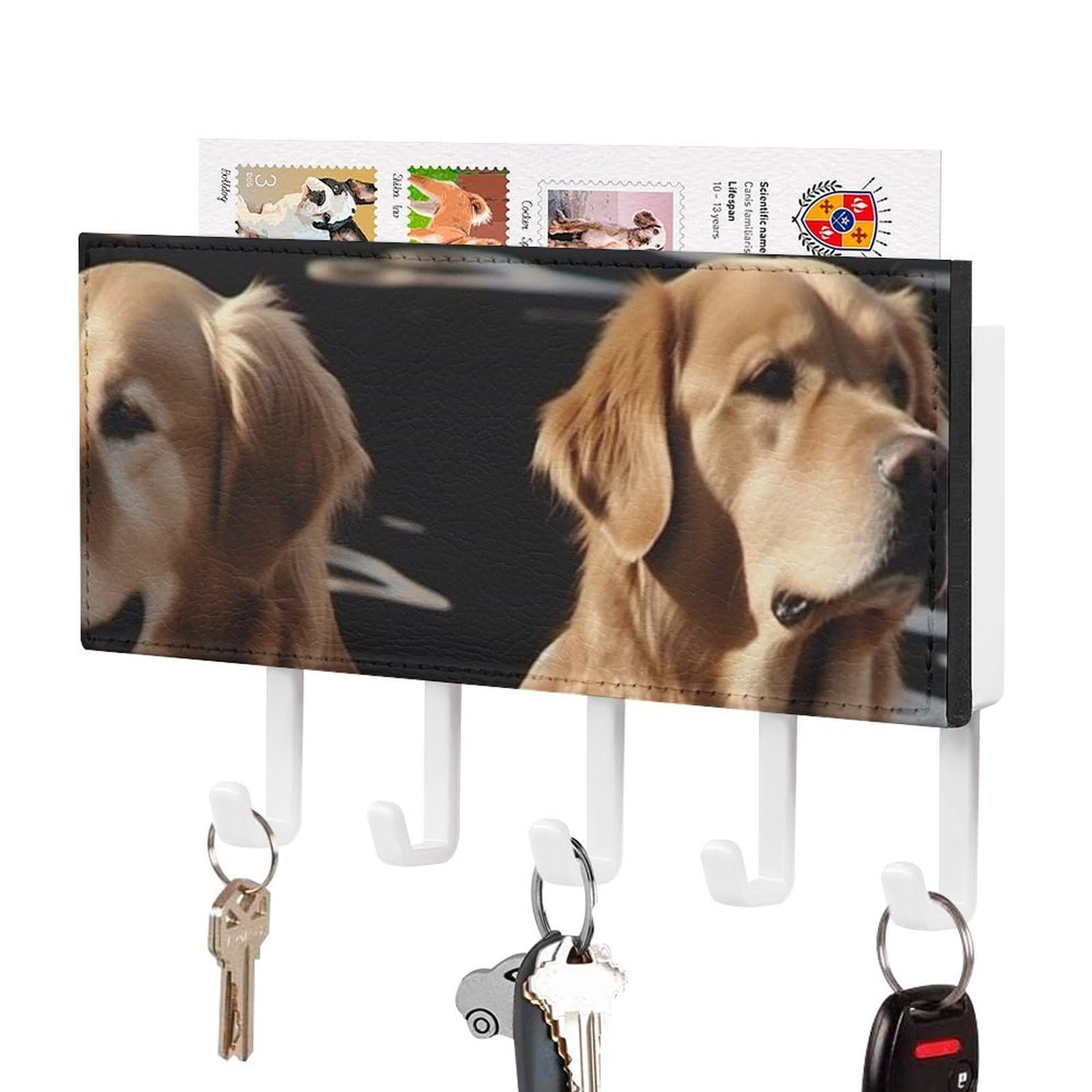 Colgador de llaves resistente Golden Retriever para no perder las llaves