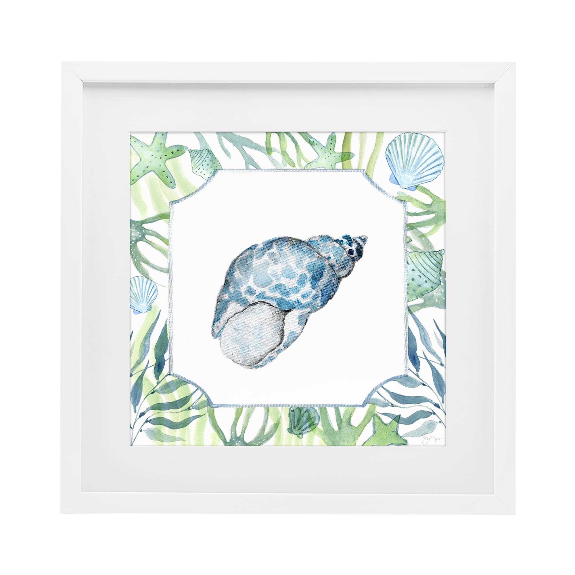 Stupell Industries Coastal White (Textured) 'Spotted Cowrie With Seaweed'| Framed Print Under Glass