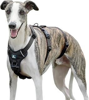 Paworld Sicherheitsgeschirr Hund, Anti Zug Hundegeschirr, Panikgeschirr für Hunde, Ausbruchsicheres Geschirr Hund, Verstellbare, Atmungsaktiv Weste für kleine, mittelgroße und große Hunde (Schwarz,L) product image