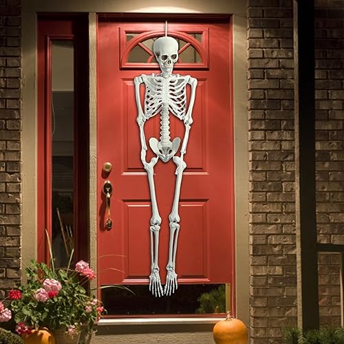 Miniatura 2 de Esqueleto de cuerpo completo de 5.4 pies con articulaciones móviles, estatua de esqueleto de tamaño real para anatomía, estudio escentifico,