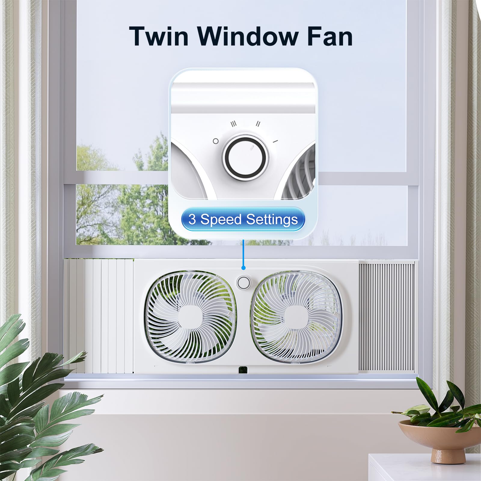 https://m.media-amazon.com/images/I/71K+8lI5NiL.jpg