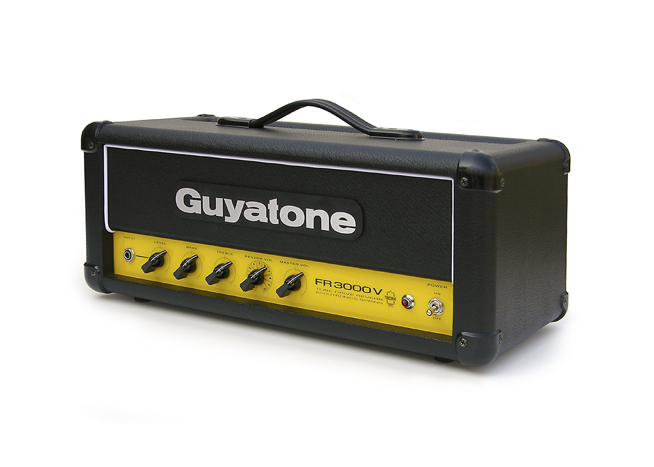 Guyatone Flip Series FR-3000V Tube Drive Reverb : Amazon.in 