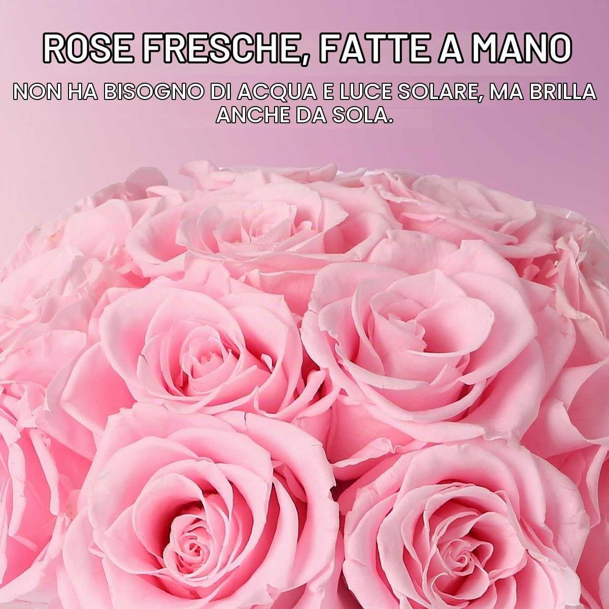 Scatola Regalo Rotonda di Fiori conservati Fiore eterno per lei 19 Rose conservate - Regali di Compleanno (Rose Rosa)