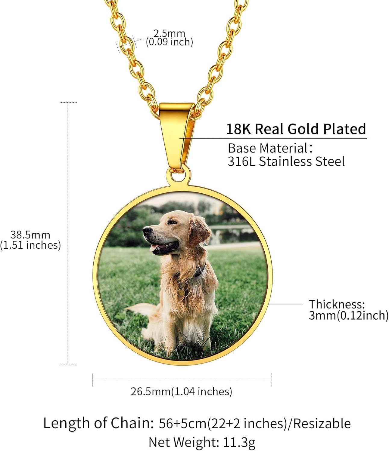 ChainsHouse Personalized Photo Necklace Men Women, Stainless Steel/18K Gold Plated Chain, Custom Picture Image Engrave Text Rectangular/Heart/Oval/Dogtag Pendant DIY Memorial Jewelry,Send Gift Box