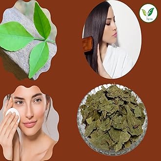 Iagrifarm Bael Patra Dried Leaves - 450 g/Bilva Leaves/Bel Patra/Bael Leaf