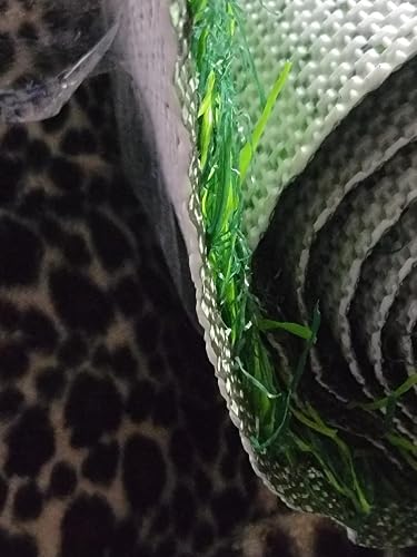 Review Image by Amazon Customer