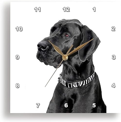 3dRose LLC Black Great Dane - Reloj de pared 100 x 100in