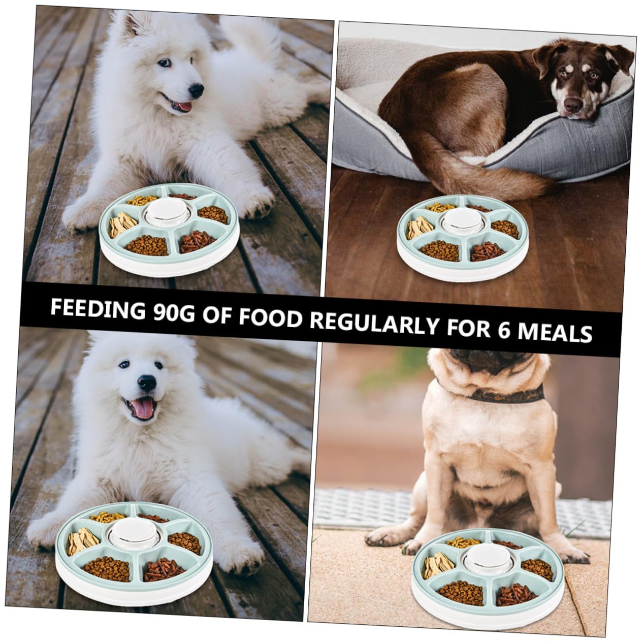 UKCOCO Ciotola per Alimenti per Cani Staccabile Design Antiscivolo Facile da Pulire Somministrazione di Cibo Adatta per Pasti Pratica per Animali Domestici