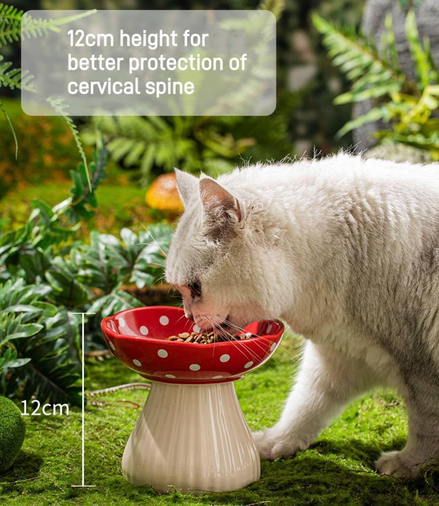 Générique Gamelle Chat Céramique Surélevée Anti-Vomissement Anti Glouton, Bol Eau et Nourriture pour Chats Adultes et Chatons, Design Pratique et Stable A,S