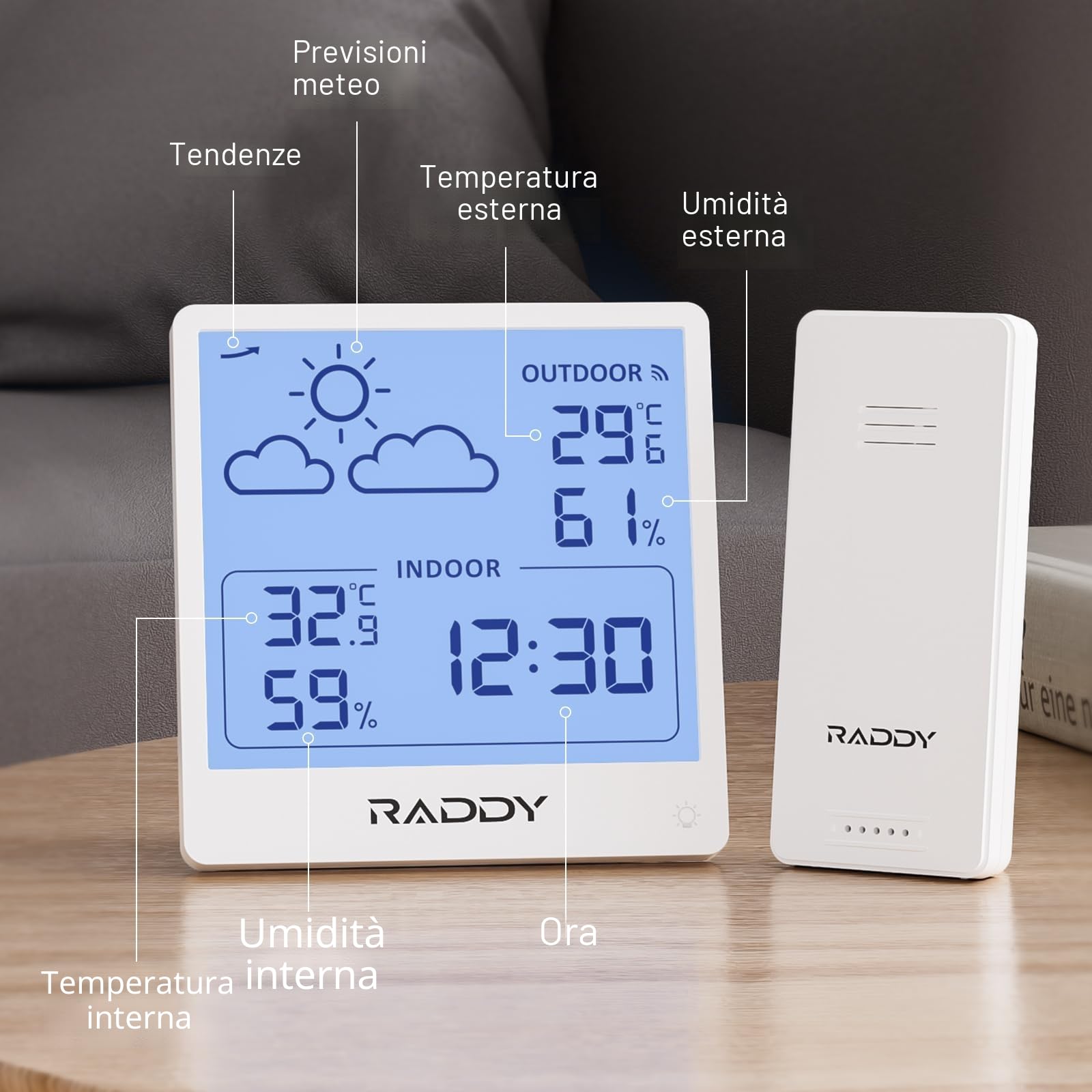 Raddy WF-50T Stazione meteorologica wireless, Termometro Igrometro per interni ed esterni, 5,0'' TN display, alimentazione tramite USB-C, previsioni del tempo, sensore remoto wireless (Bianco)