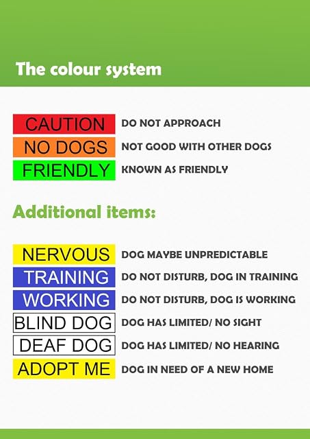 Foto 3 de 7 de Dexil Correa para perro, con el texto en inglés: «Friendly», color verde, 1,8 m de largo