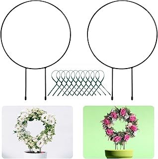 2 Pack Black Metal Plant Trellis for Climbing Plants- 13" Iron Circle Trellis Plant Vine Stem Support Wire, Plants Climbing Holder Rack with 10 Plant Twist Tie for Potted Plants Flowers Indoor