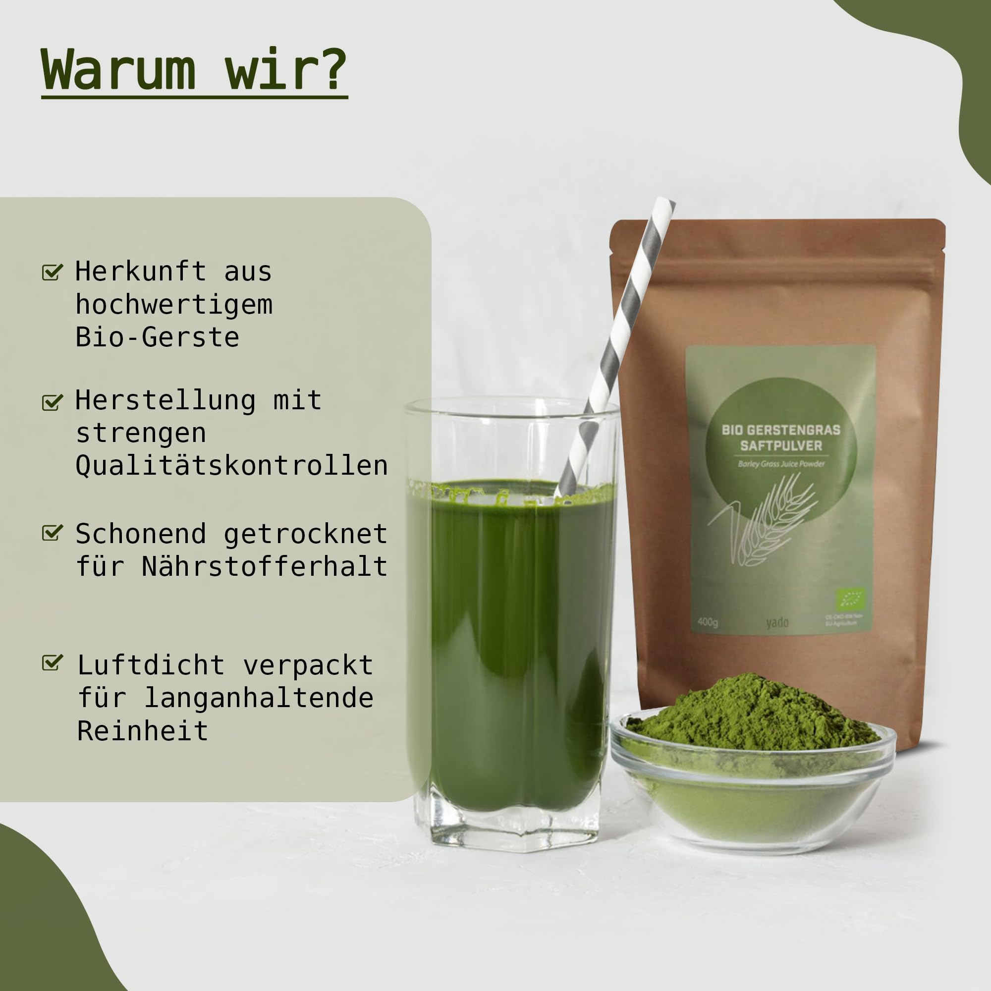 Succo d'erba d'orzo biologico in polvere | certificato di alta qualità | Barley Grass Juice Powder | 100% polvere d'erba d'orzo | La nutrizione secondo Anthony William (200 g)