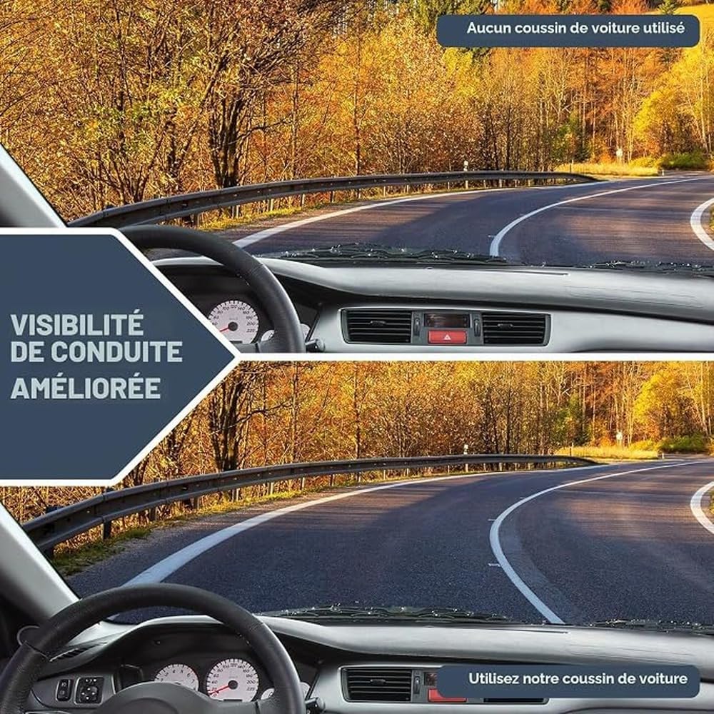 Cojín piriforme y cojín para Asiento de Coche Que,047 Malla Negra
