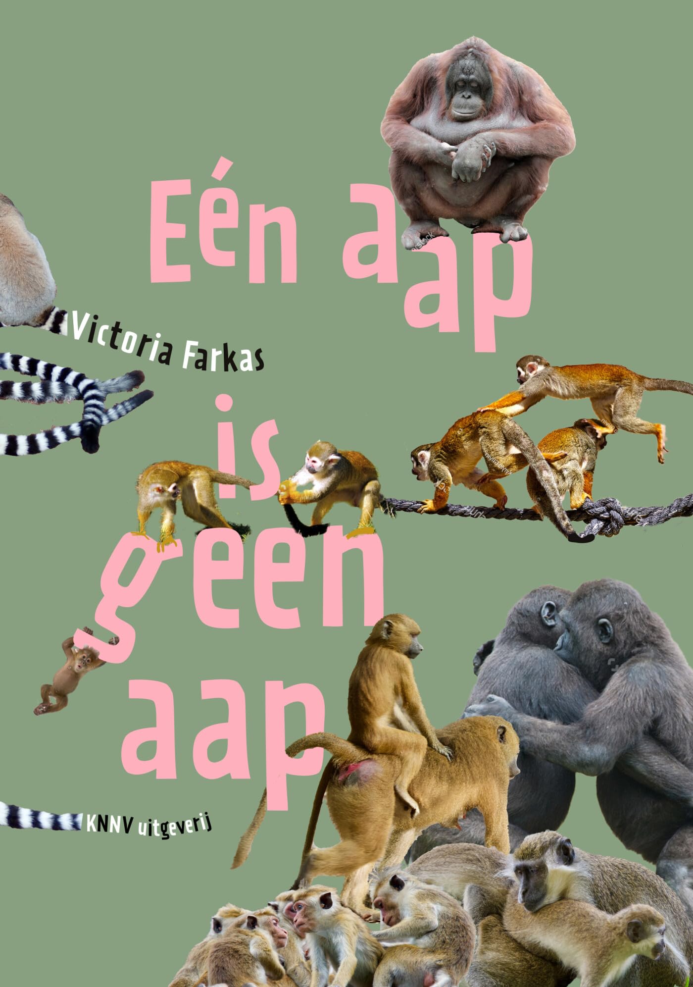 Eén aap is geen aap: alles wat je nog niet over apen wist