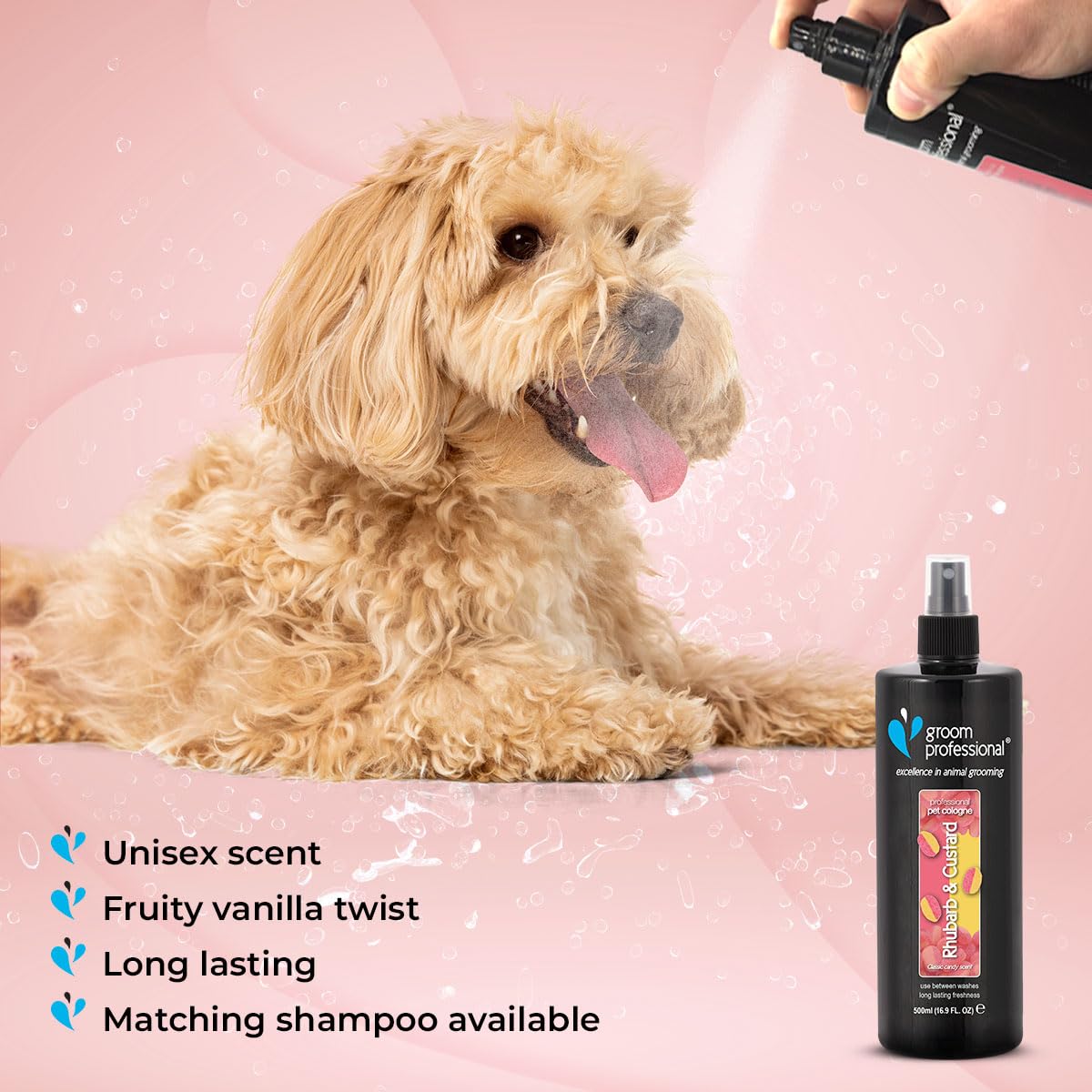 GROOM PROFESSIONAL Rhubarb & Custard Hundeparfüm - Hundeparfüm-Spray - Frisches Duftspray für Hunde Gegen Geruch - Erinnert an ein Klassisches Bonbon - Langanhaltender Duft, 500ml