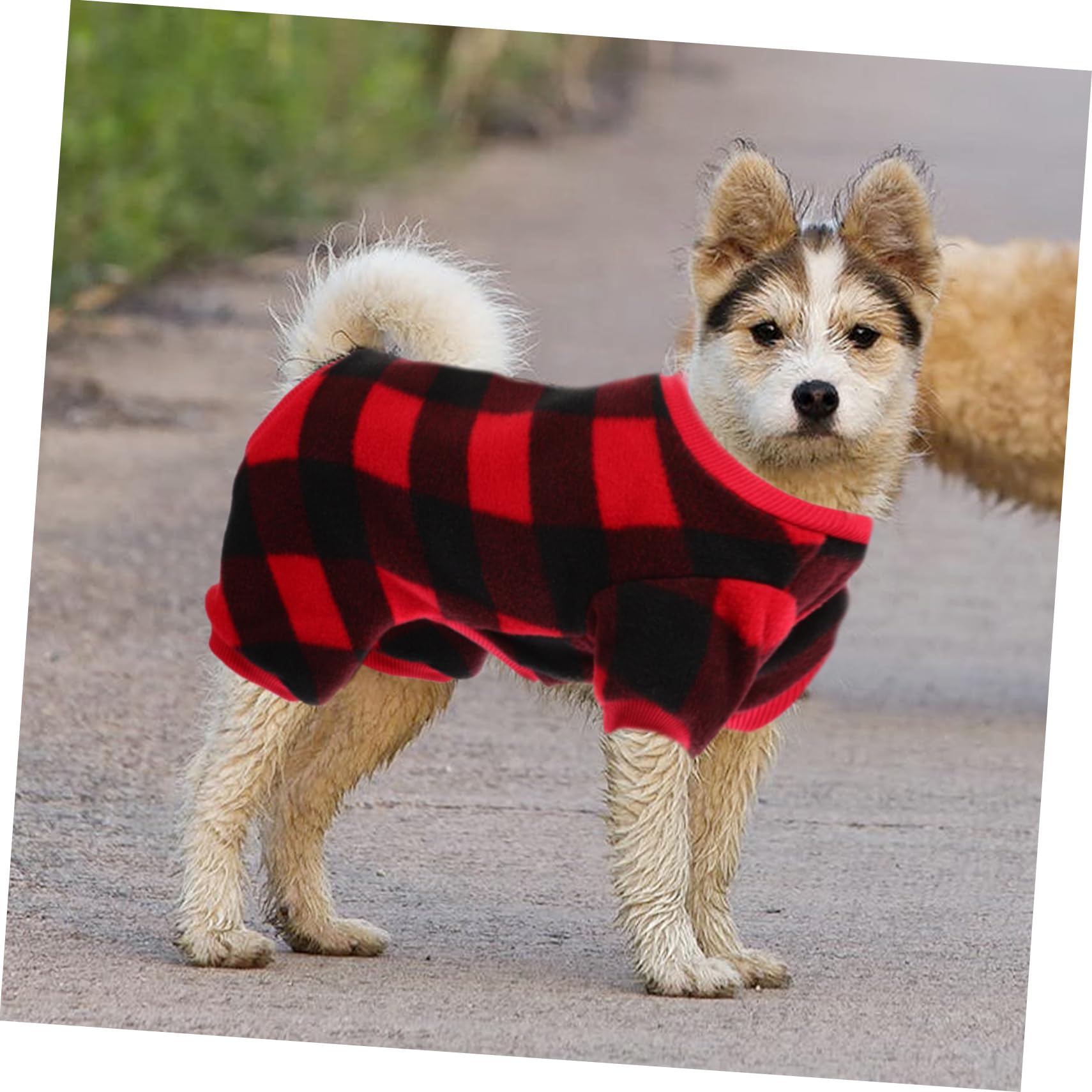 BESPORTBLE 4pièces Gilet pour Chien Hiver Adorable Respirante Et Anti-Vent pour Petits Et Moyens Chiens Vêtement Douillet Et Confortable